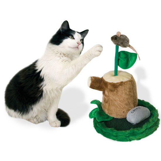 Awesome Cat Toys 77