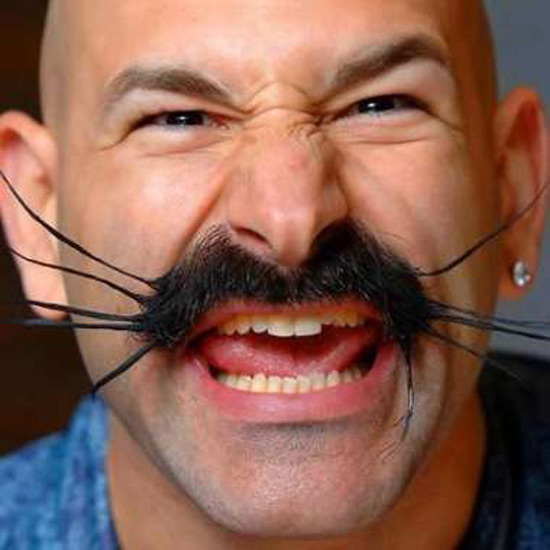 Feline Ferociousness - Top 10 weird mustache & beard designs