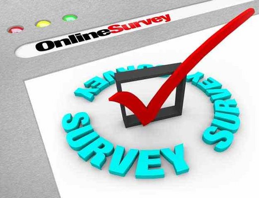 work at home survey taker