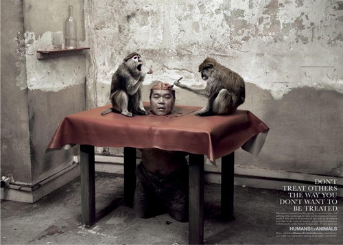monkey eating human brain