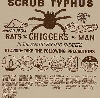 typhus-poster