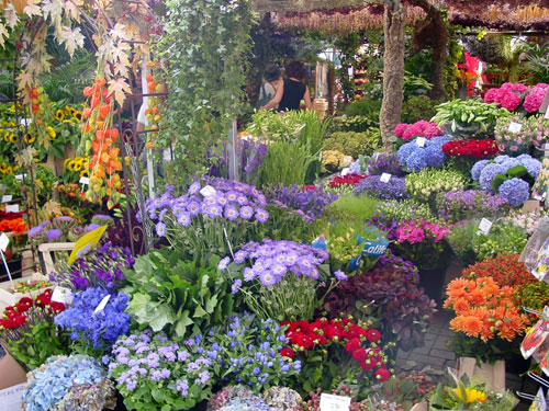 amsterdam-flower-market