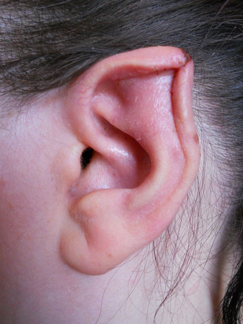 ear pointing