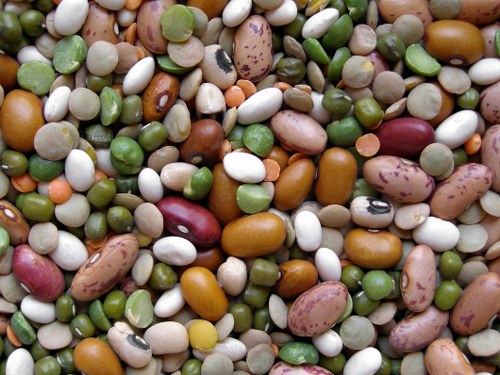 beans anti-aging foods