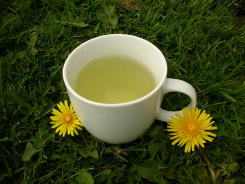 dandelion healthy herbal teas
