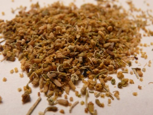 fennel pollen exotic spices