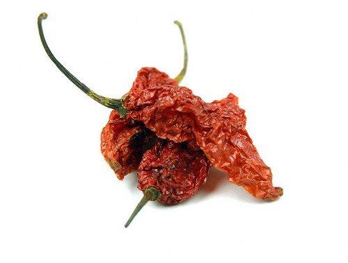 ghost chili exotic spices