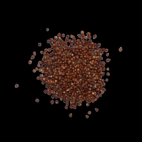 grains of paradise exotic spices