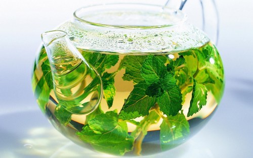 infections green tea benefits