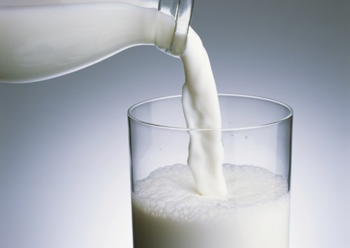 milk foods for gaining weight