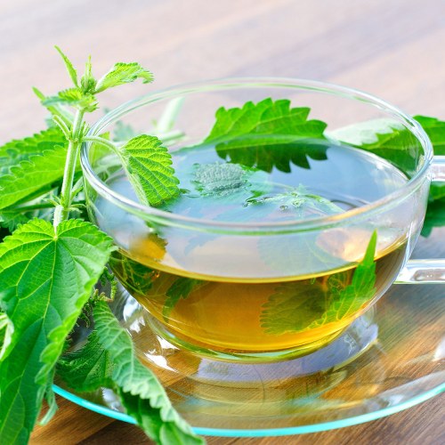 nettle healthy herbal teas