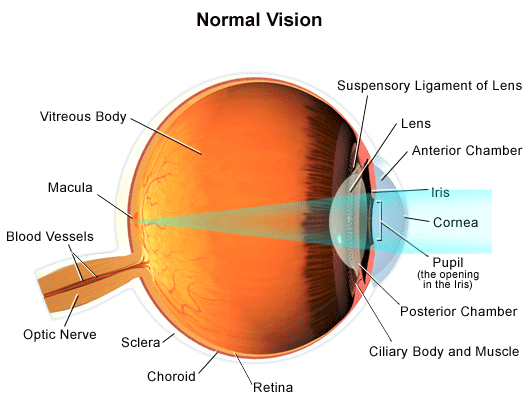 Symptoms of Vision Problems