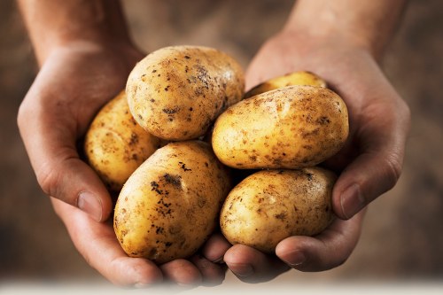 potatoes foods for gaining weight