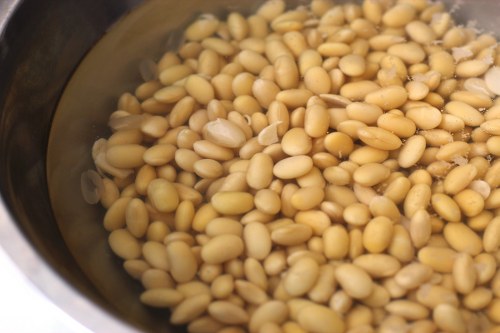 soybeans foods for gaining weight