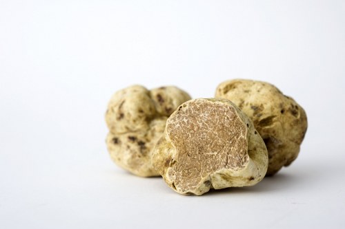 italian white truffle most expensive foods