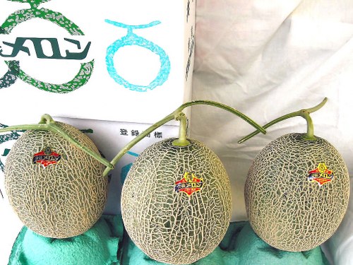 yubari melon most expensive foods