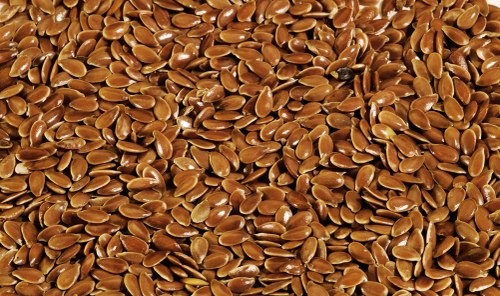 flaxseed anti cancer foods