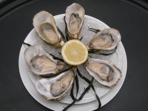 oysters foods for fertility