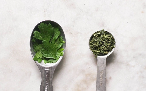fresh herbs versus dry herbs