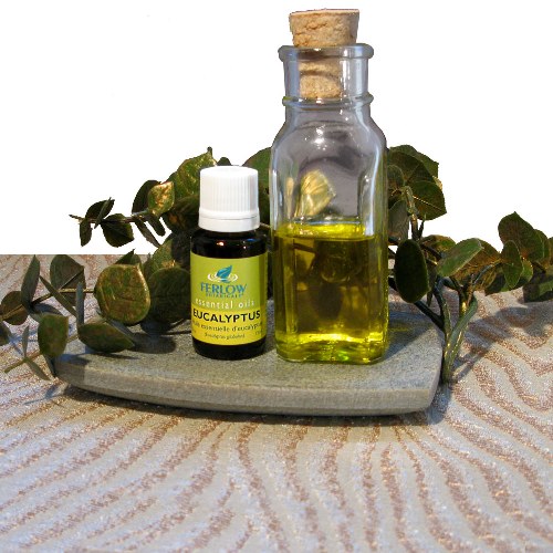 eucalyptus oil  best essential oils