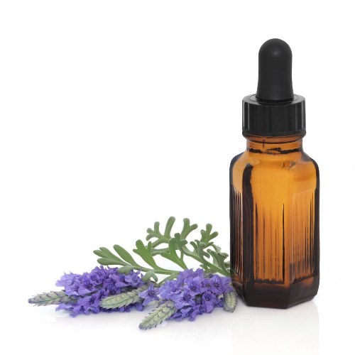 lavender oil best essential oils