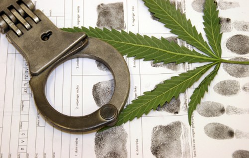 marijuana crime