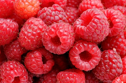 raspberry seeds natural exfoliants