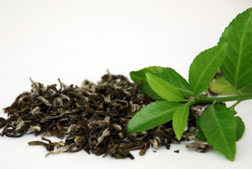 green tea foods that fight cellulite