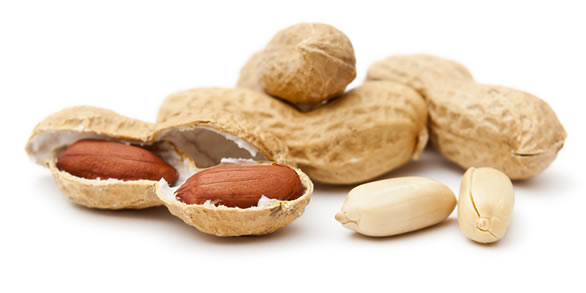10 Fun facts About Nuts you probably didn’t know2