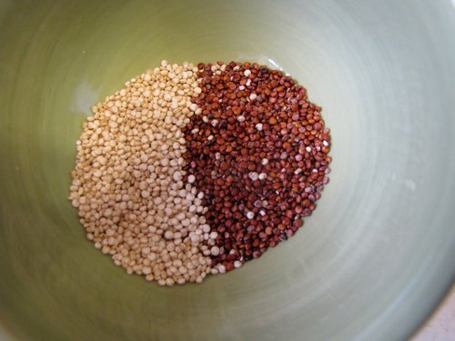 quinoa best foods for building muscles