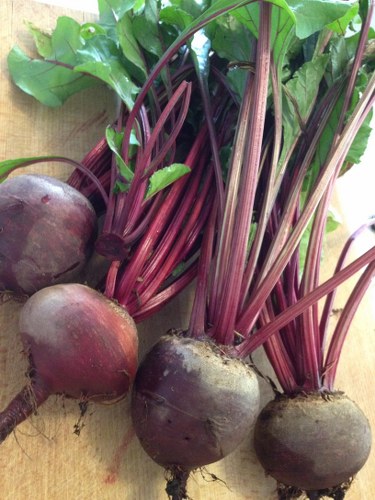 beets can prevent cancer