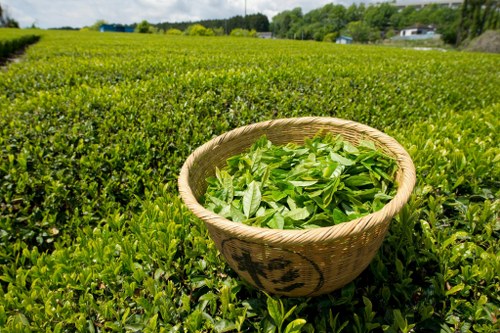 green tea fights diabetes