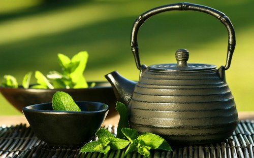 green tea overall health
