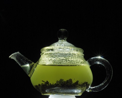 green tea fights obesity