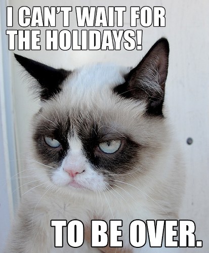 grumpy cat holiday