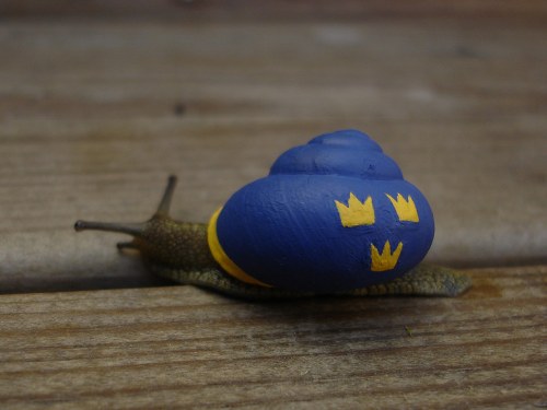 hockey snail