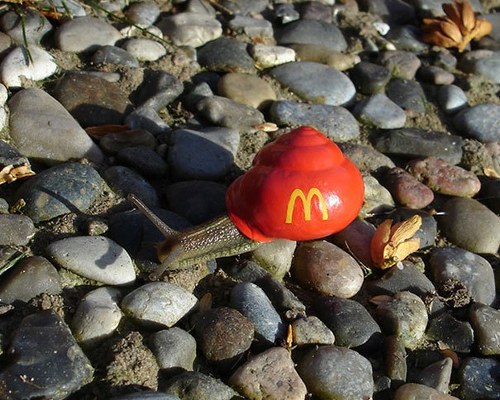 mcdonalds snail