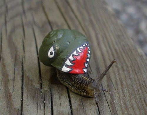monster snail