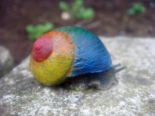rainbow snail