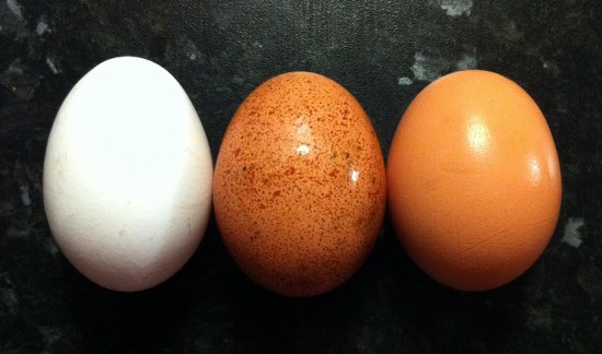 Natural Energy Boosters eggs